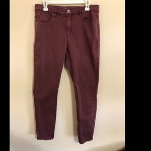 Tribal skinny jean size 12